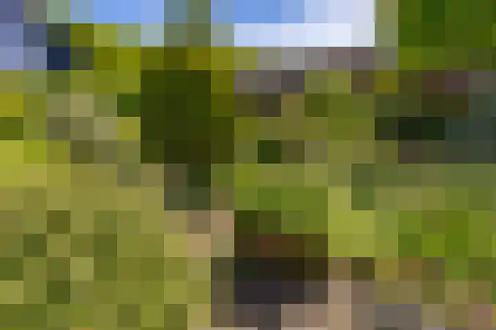 van Vredenburchweg 95 Rijswijk thumbnail 42