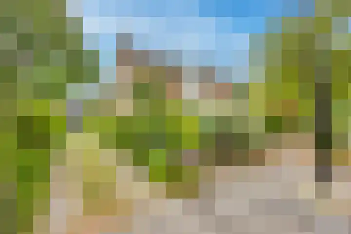 van Vredenburchweg 95 Rijswijk thumbnail 45