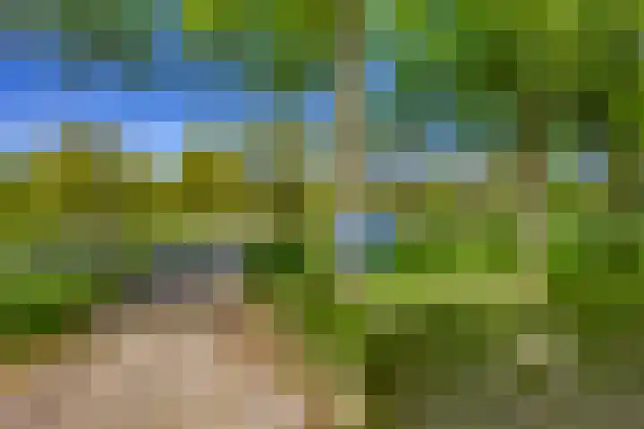 van Vredenburchweg 95 Rijswijk thumbnail 54