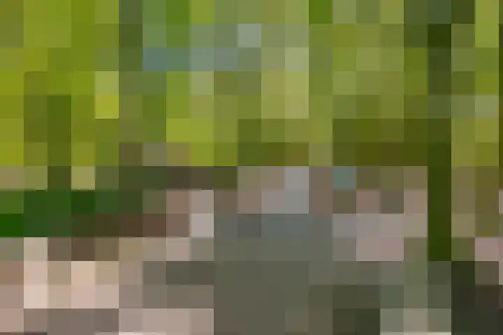 van Vredenburchweg 95 Rijswijk thumbnail 55