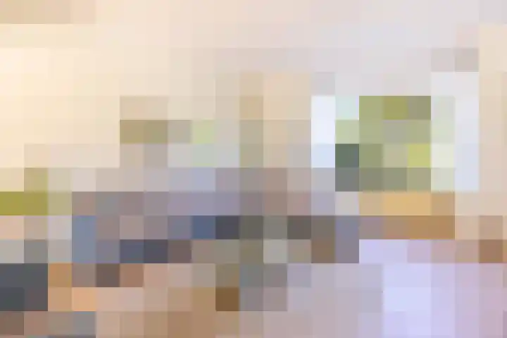 van Vredenburchweg 95 Rijswijk thumbnail 8