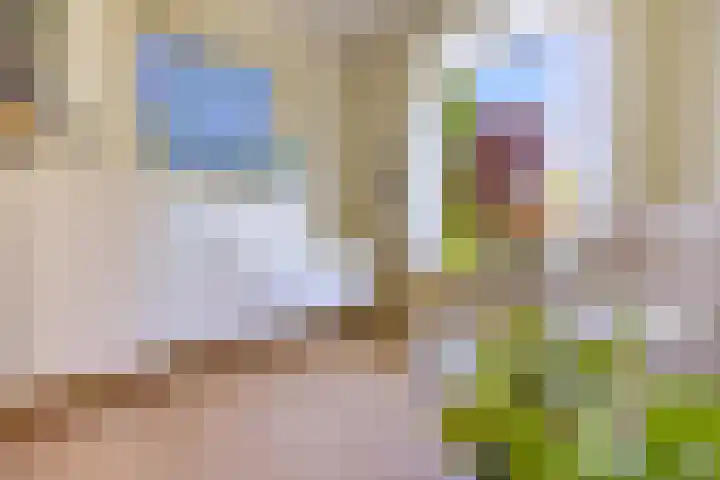 van Vredenburchweg 95 Rijswijk thumbnail 9