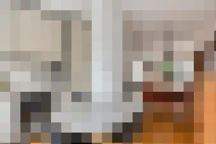 van Vreumingenstraat 1 Gouda thumbnail 14