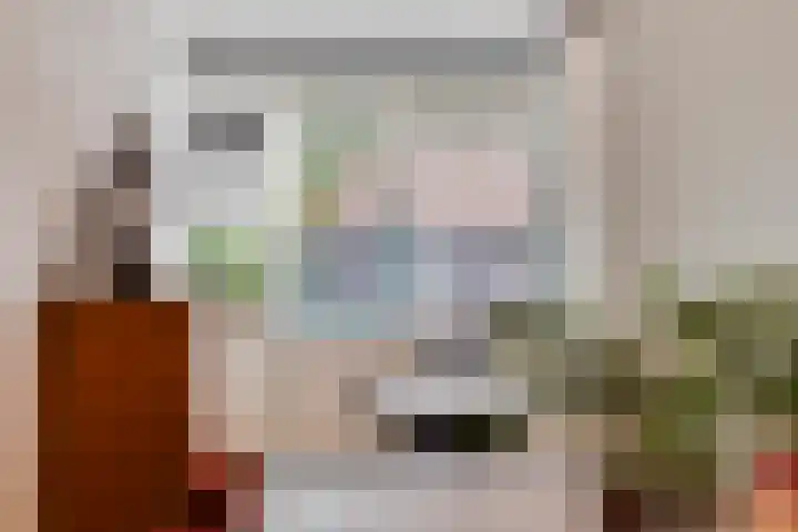 van Vreumingenstraat 1 Gouda thumbnail 17