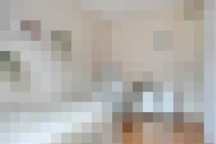 van Vreumingenstraat 1 Gouda thumbnail 23