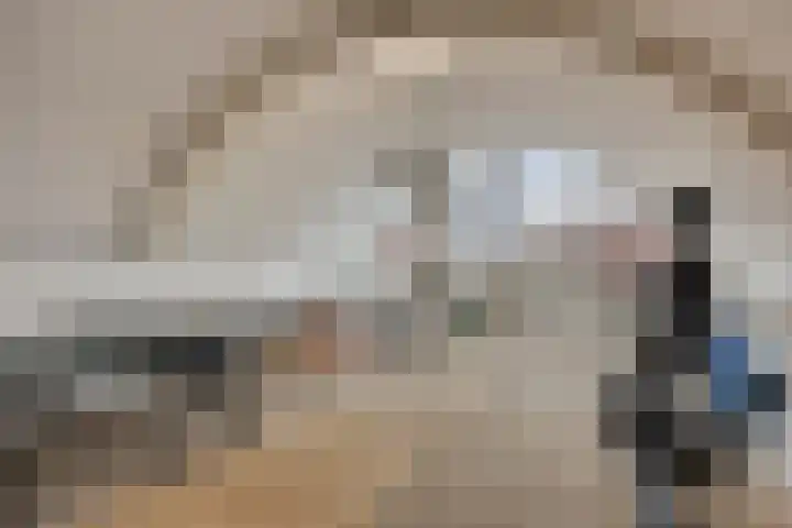 van Vreumingenstraat 1 Gouda thumbnail 27