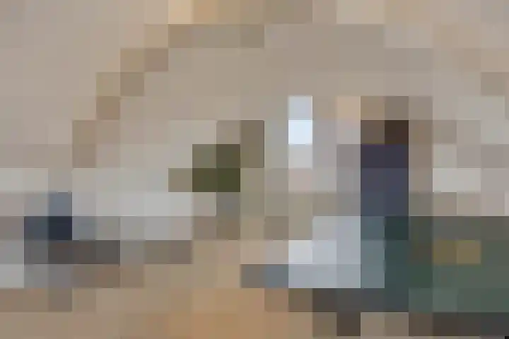 van Vreumingenstraat 1 Gouda thumbnail 28