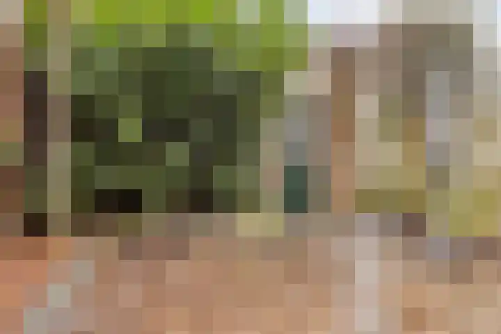 van Vreumingenstraat 1 Gouda thumbnail 5