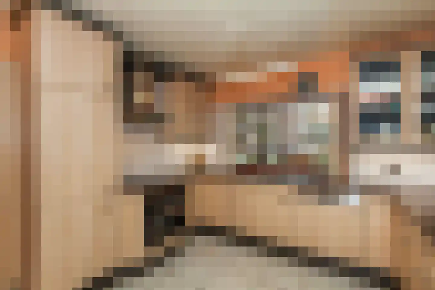 Van Vrieslandhove 12 Zoetermeer thumbnail 14