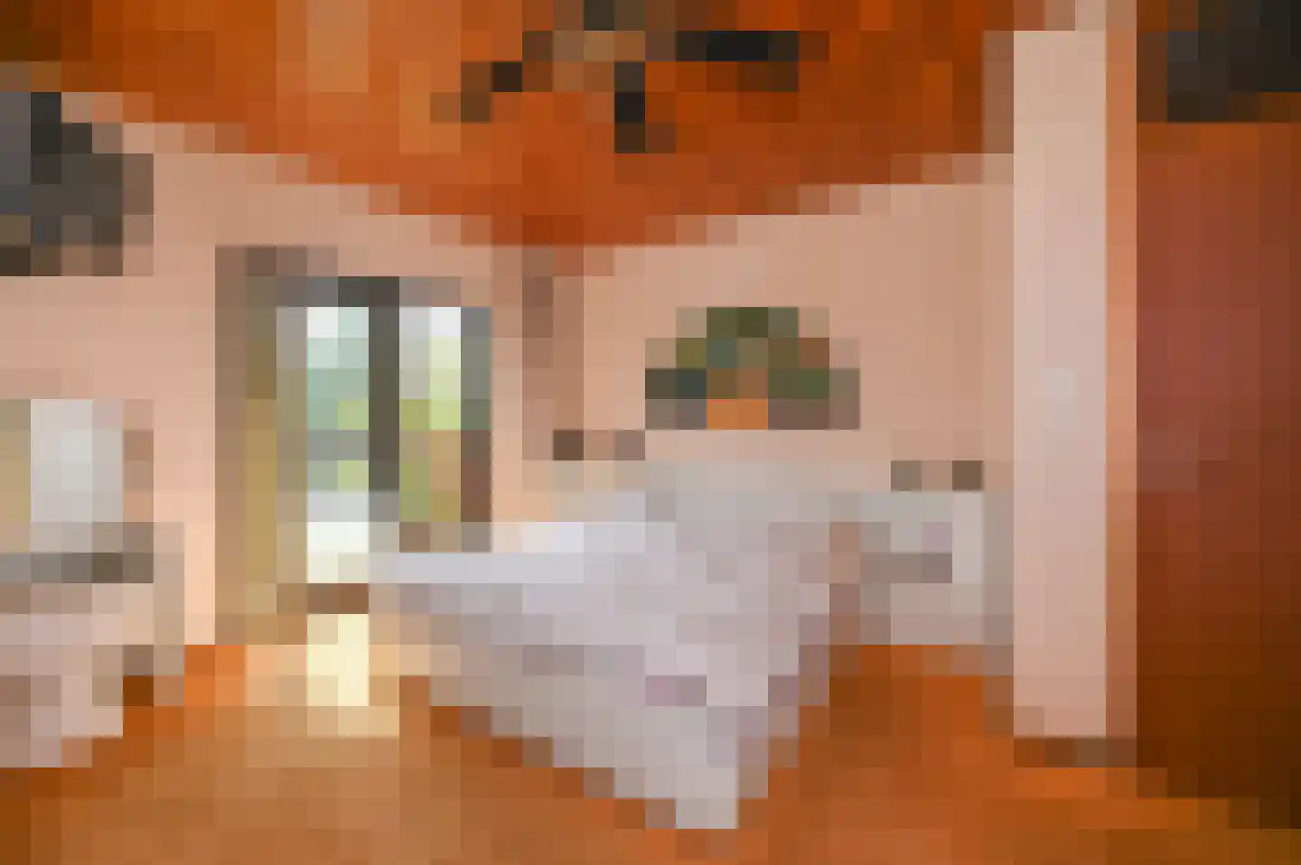 Van Vrieslandhove 12 Zoetermeer thumbnail 15