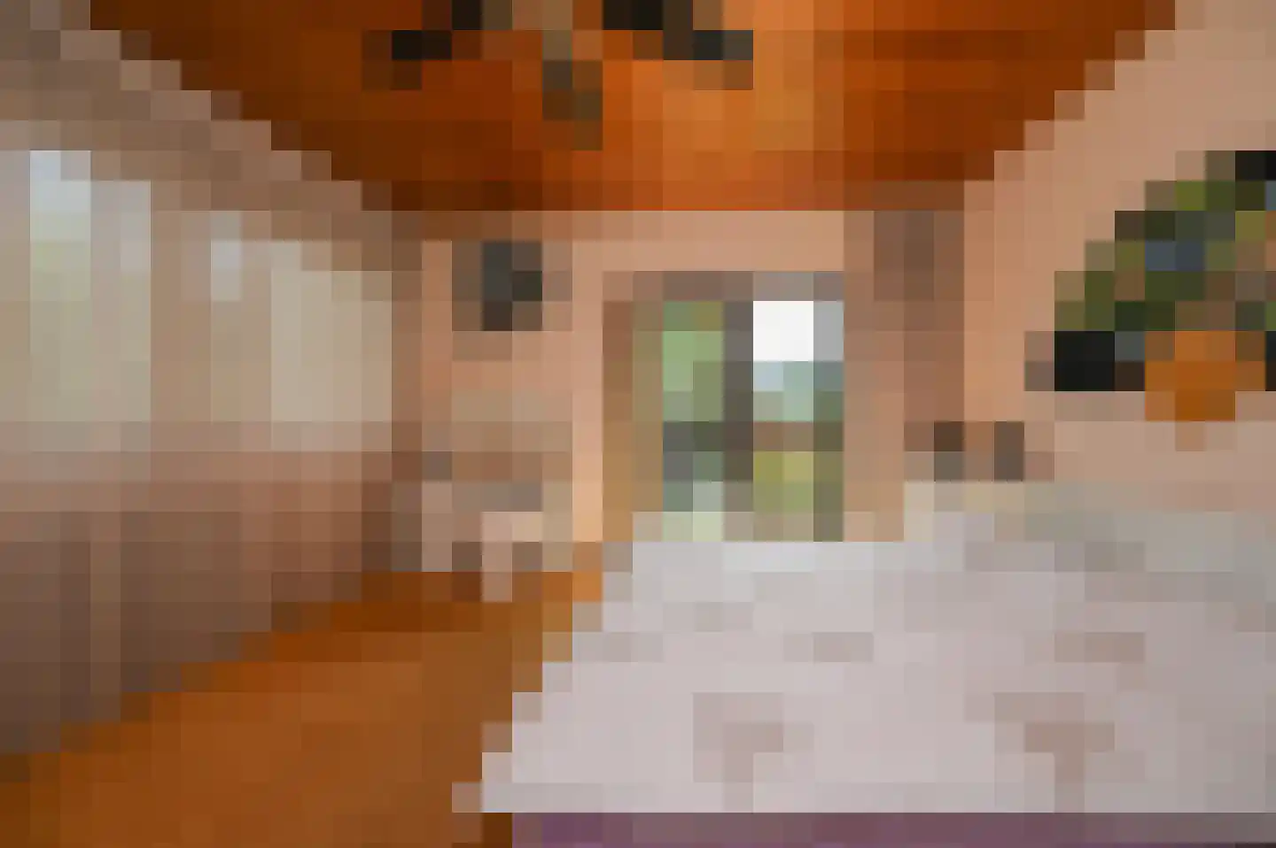Van Vrieslandhove 12 Zoetermeer thumbnail 16