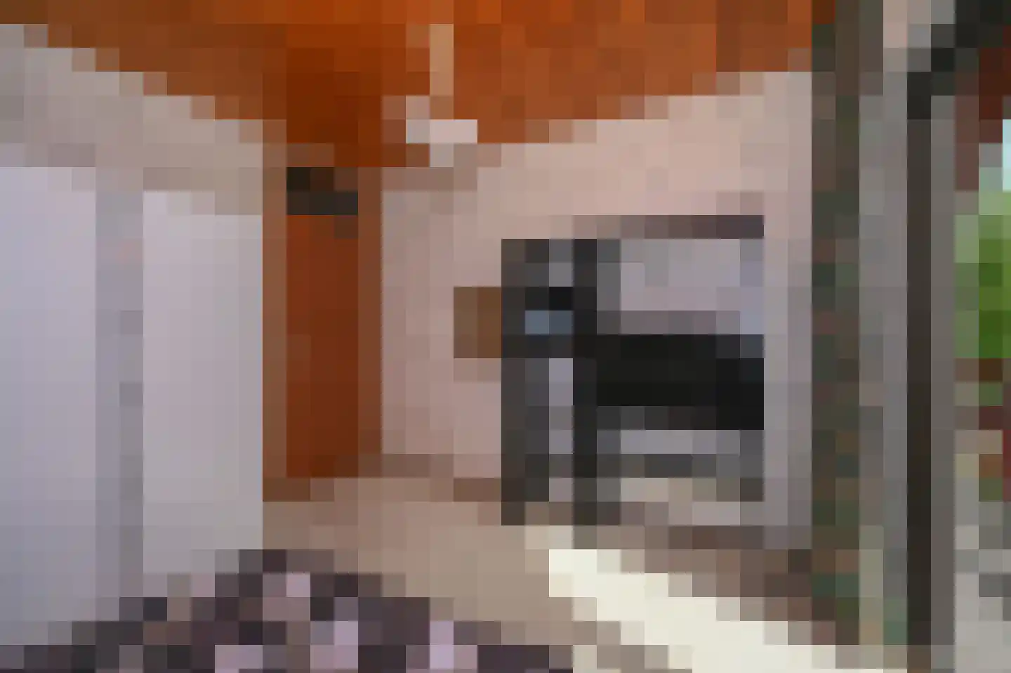 Van Vrieslandhove 12 Zoetermeer thumbnail 23
