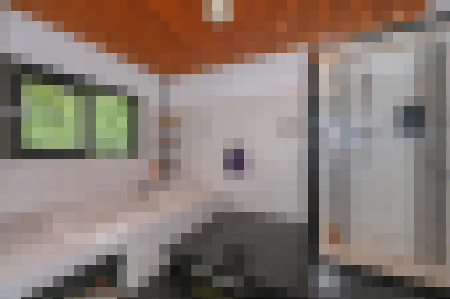 Van Vrieslandhove 12 Zoetermeer thumbnail 30