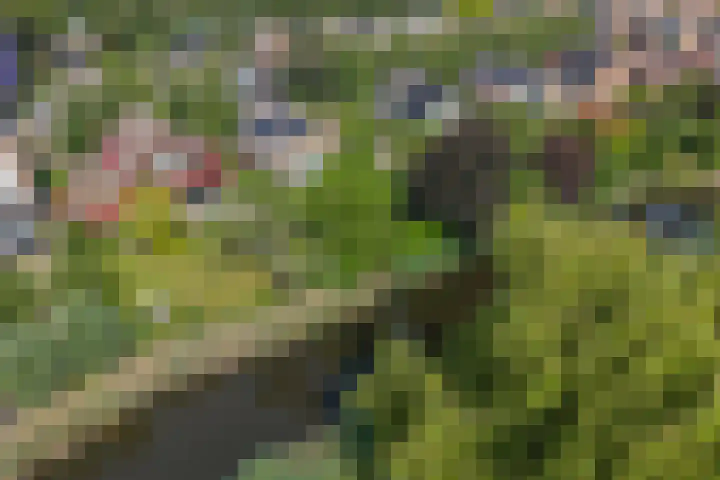 Van Vrieslandhove 12 Zoetermeer thumbnail 32