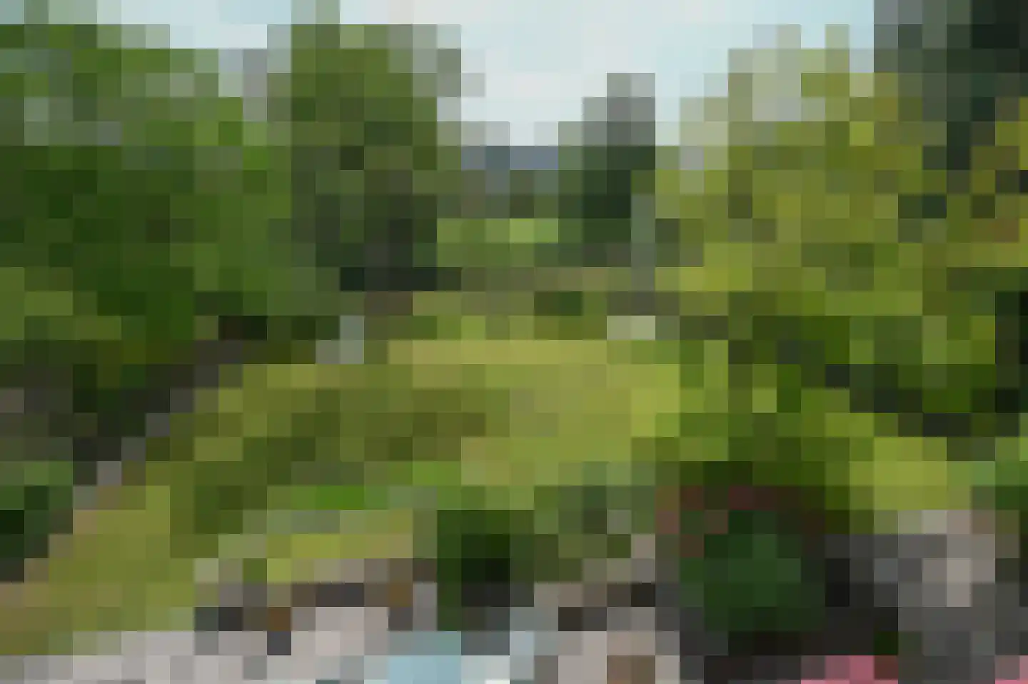 Van Vrieslandhove 12 Zoetermeer thumbnail 33