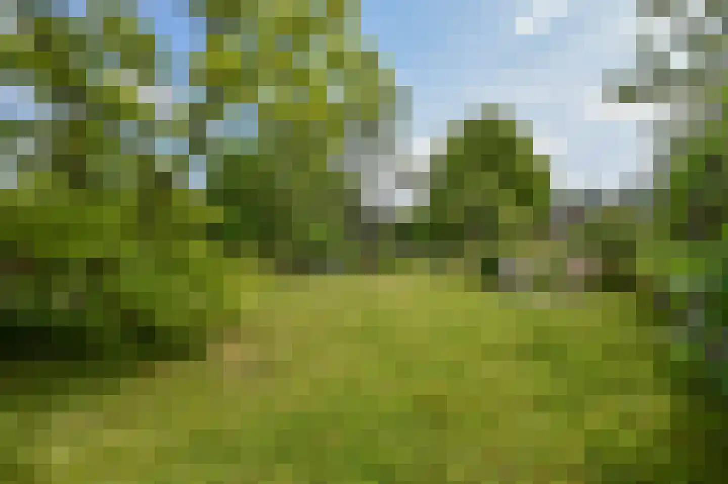 Van Vrieslandhove 12 Zoetermeer thumbnail 37