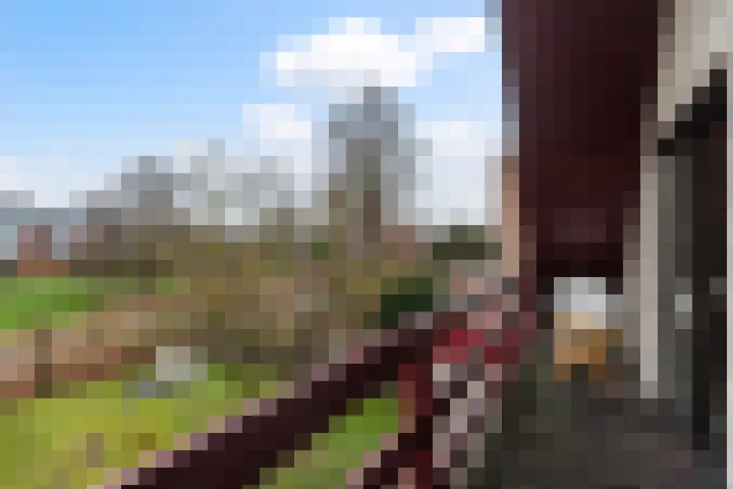 Van Vrieslandhove 12 Zoetermeer thumbnail 37