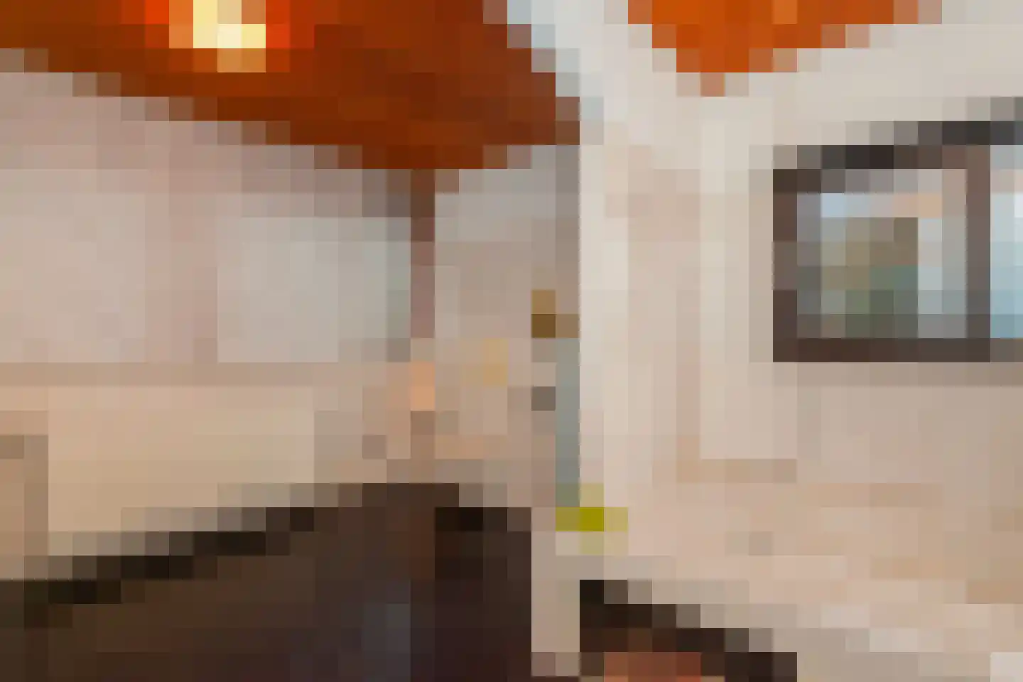 Van Vrieslandhove 12 Zoetermeer thumbnail 43