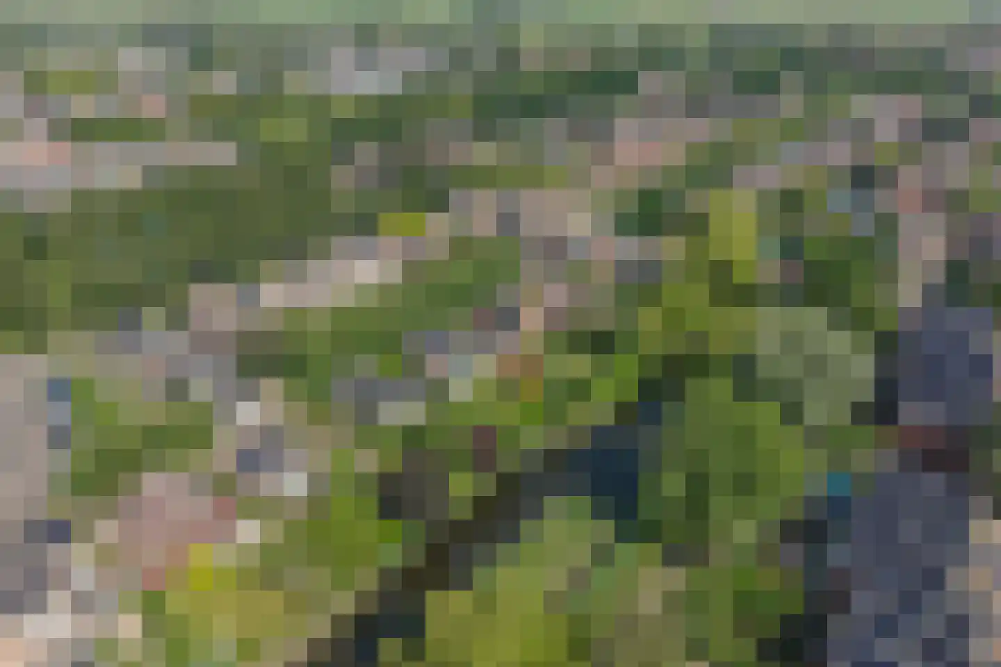 Van Vrieslandhove 12 Zoetermeer thumbnail 44