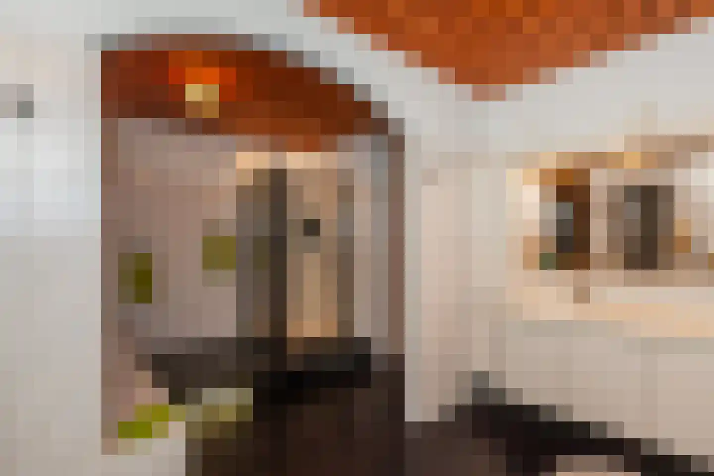 Van Vrieslandhove 12 Zoetermeer thumbnail 45