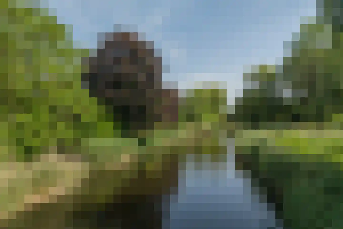 Van Vrieslandhove 12 Zoetermeer thumbnail 46