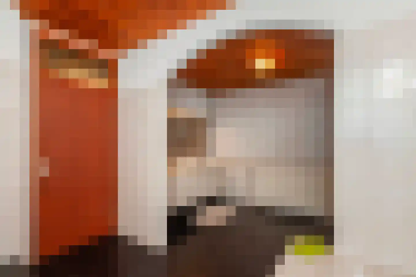 Van Vrieslandhove 12 Zoetermeer thumbnail 47