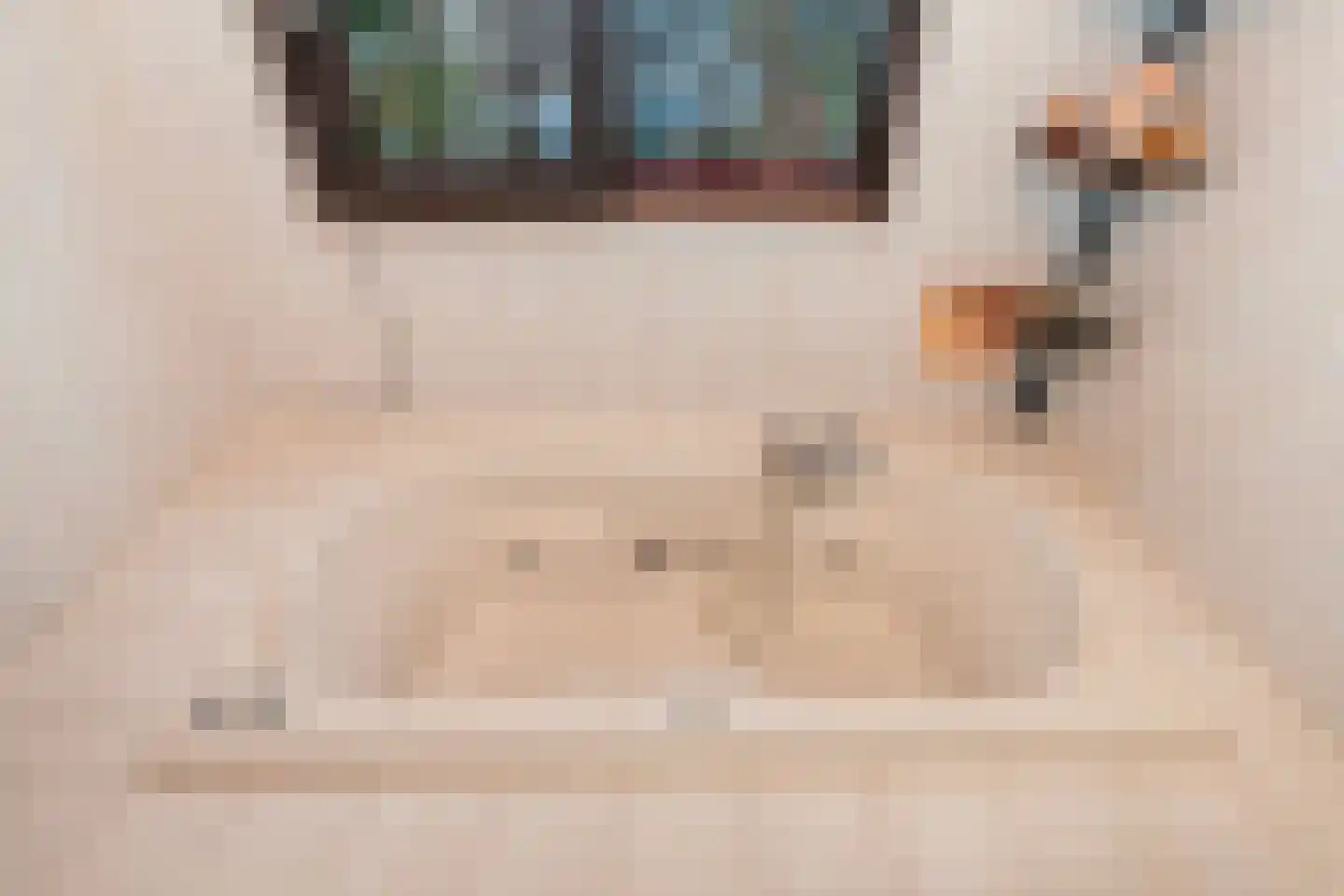 Van Vrieslandhove 12 Zoetermeer thumbnail 48