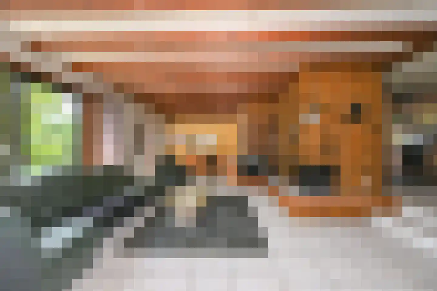 Van Vrieslandhove 12 Zoetermeer thumbnail 5
