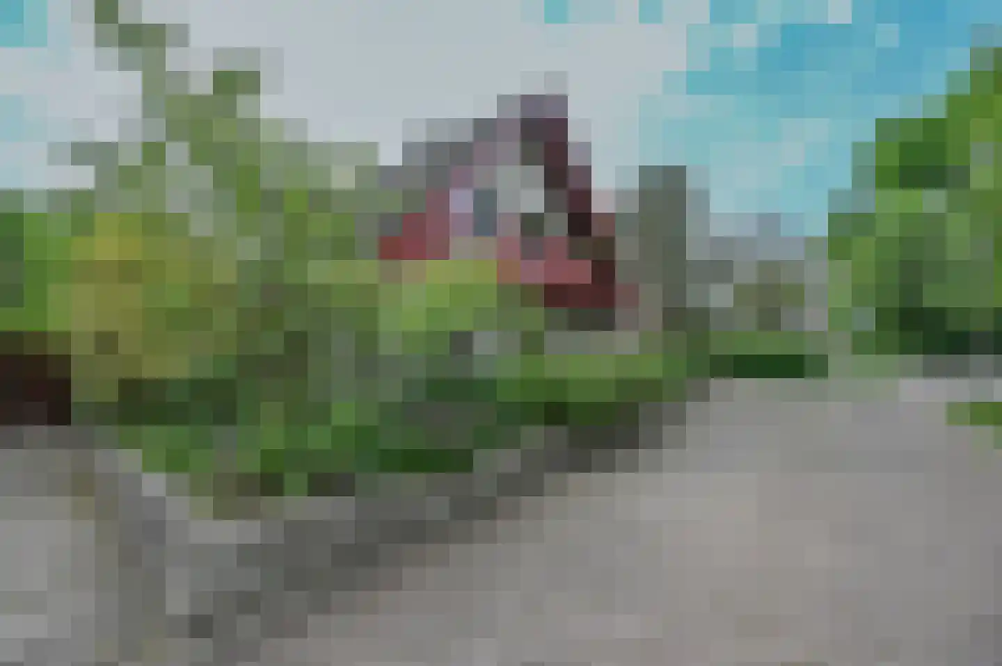 Van Vrieslandhove 12 Zoetermeer thumbnail 52
