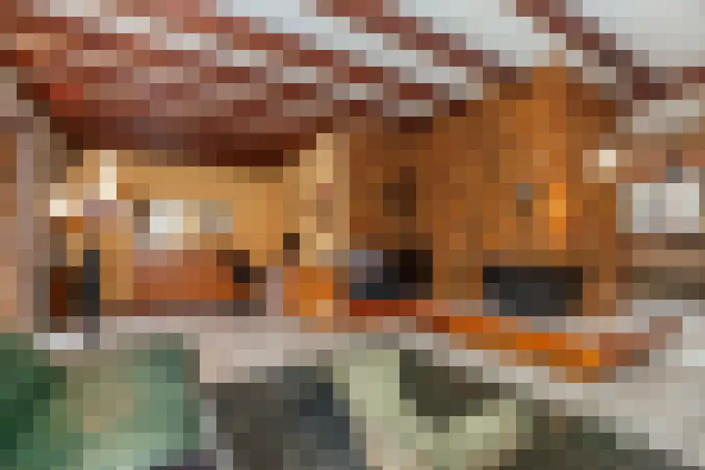 Van Vrieslandhove 12 Zoetermeer thumbnail 6