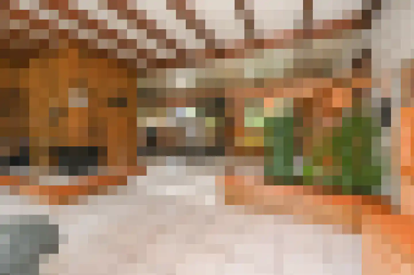 Van Vrieslandhove 12 Zoetermeer thumbnail 8