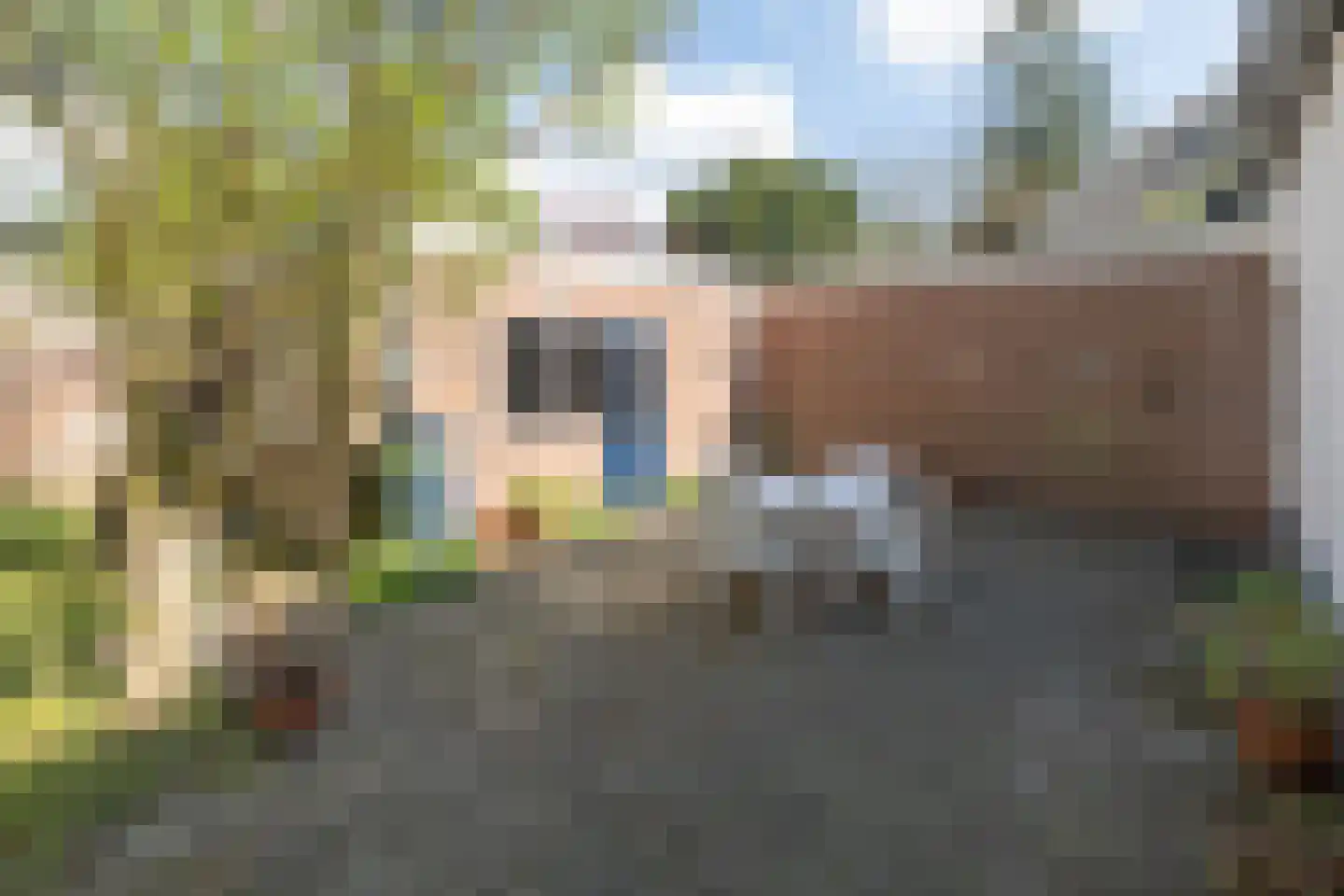 van Vrijberghestraat 1 Driebergen-Rijsenburg thumbnail 28