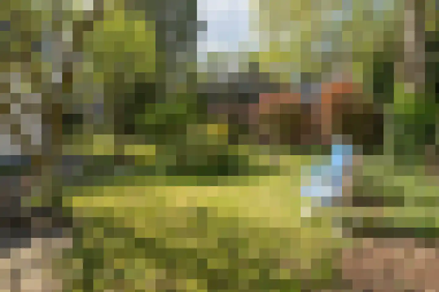 van Vrijberghestraat 1 Driebergen-Rijsenburg thumbnail 31