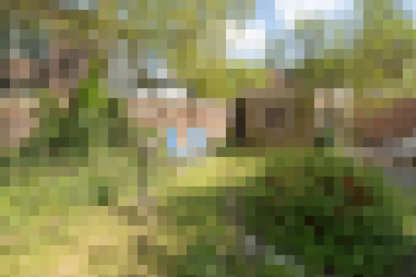 van Vrijberghestraat 1 Driebergen-Rijsenburg thumbnail 32