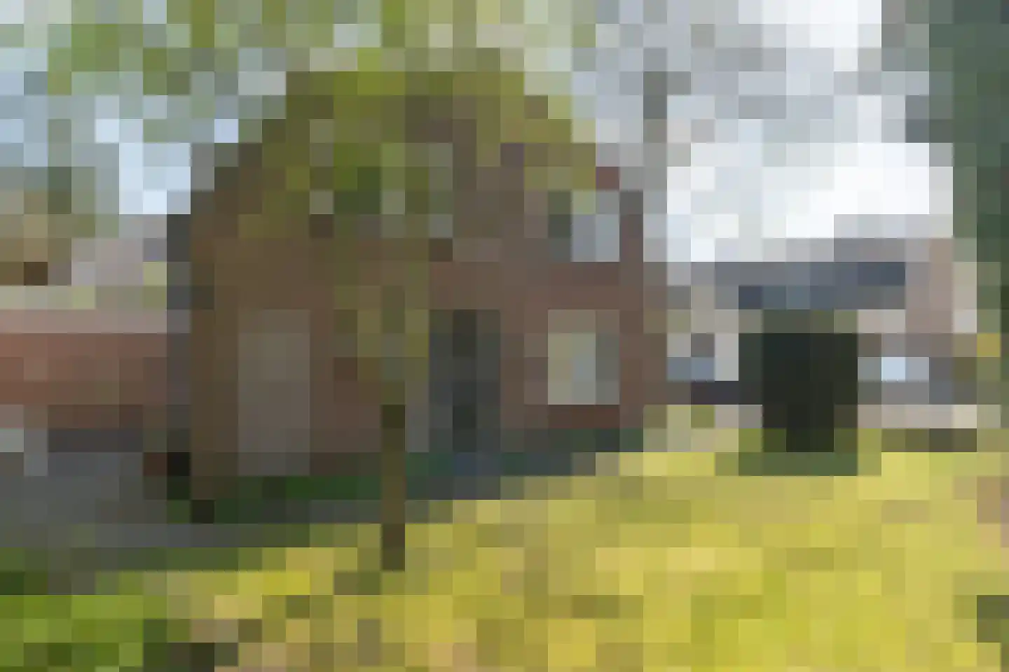 van Vrijberghestraat 1 Driebergen-Rijsenburg thumbnail 33