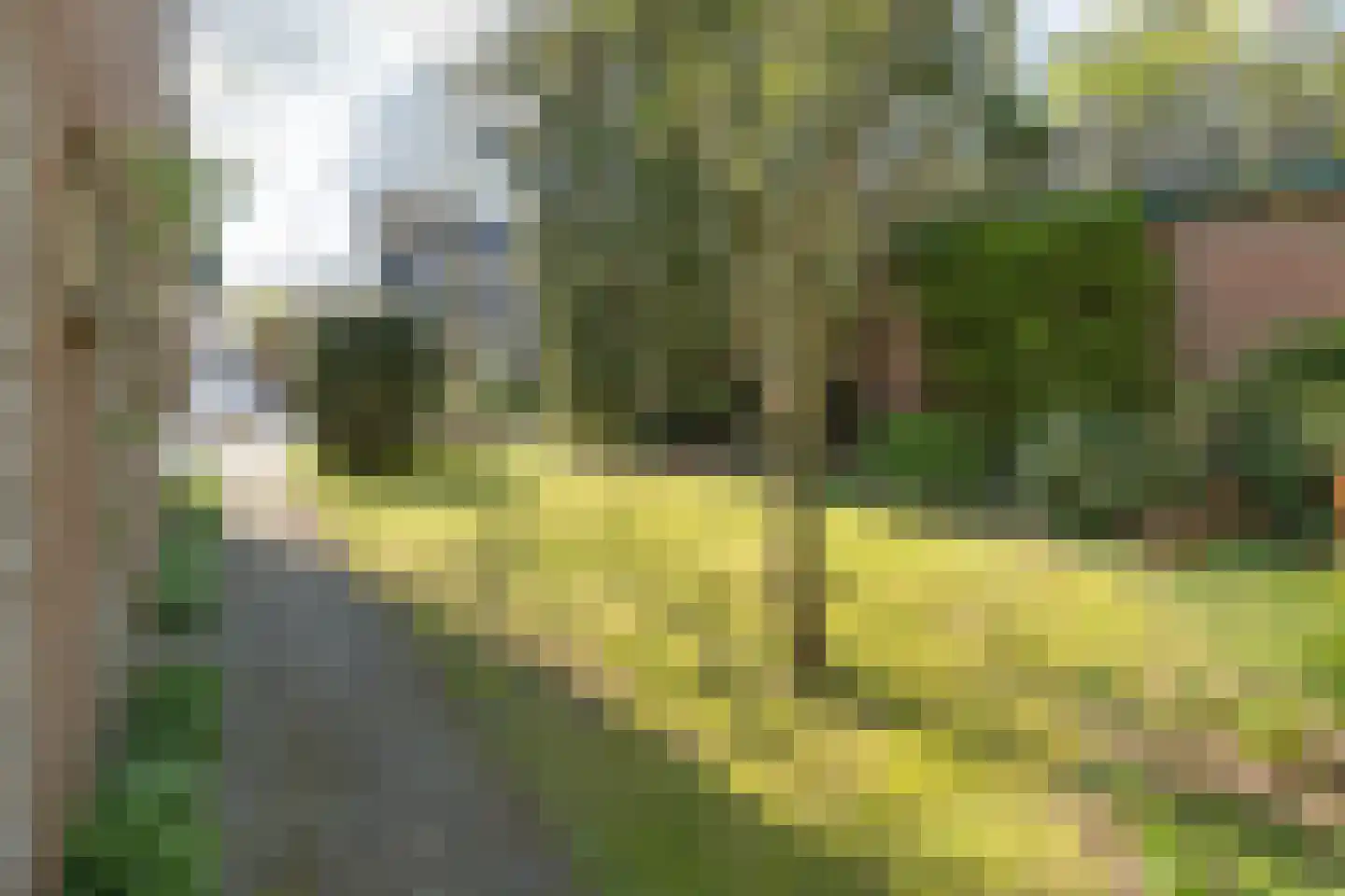 van Vrijberghestraat 1 Driebergen-Rijsenburg thumbnail 34