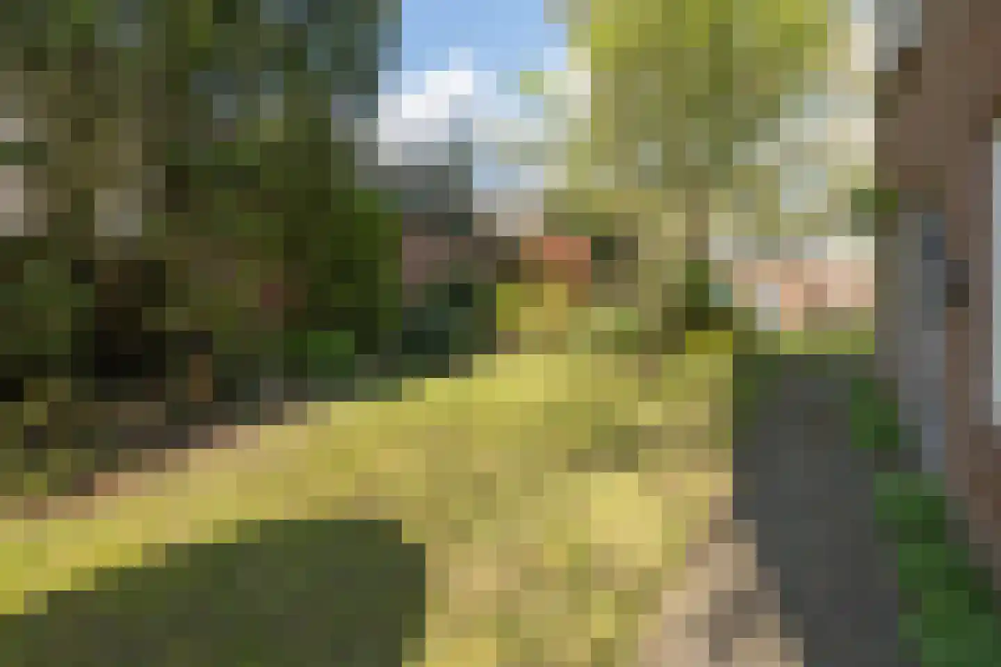 van Vrijberghestraat 1 Driebergen-Rijsenburg thumbnail 35