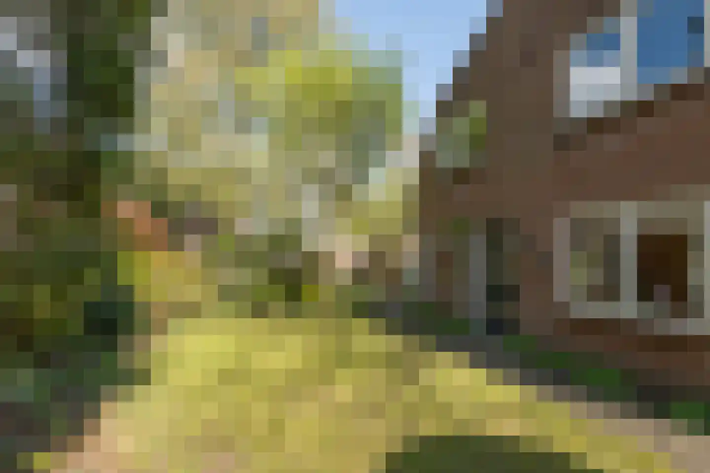 van Vrijberghestraat 1 Driebergen-Rijsenburg thumbnail 36