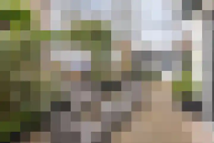 van Vrijberghestraat 2 Driebergen-Rijsenburg thumbnail 32