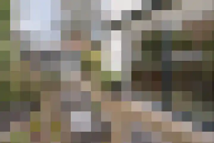 van Vrijberghestraat 2 Driebergen-Rijsenburg thumbnail 33