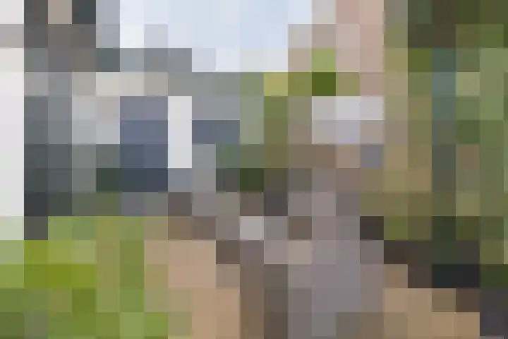 van Vrijberghestraat 2 Driebergen-Rijsenburg thumbnail 34