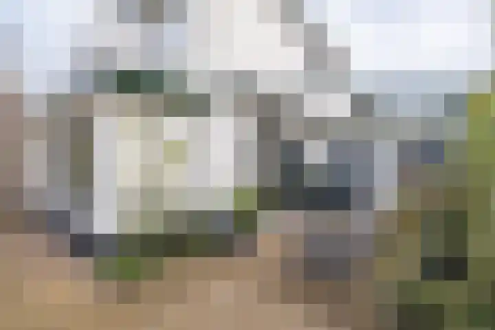 van Vrijberghestraat 2 Driebergen-Rijsenburg thumbnail 35