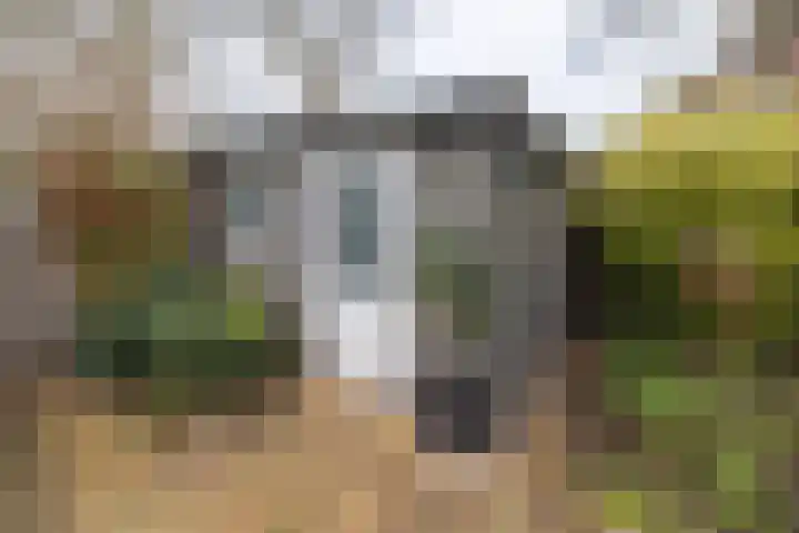 van Vrijberghestraat 2 Driebergen-Rijsenburg thumbnail 36