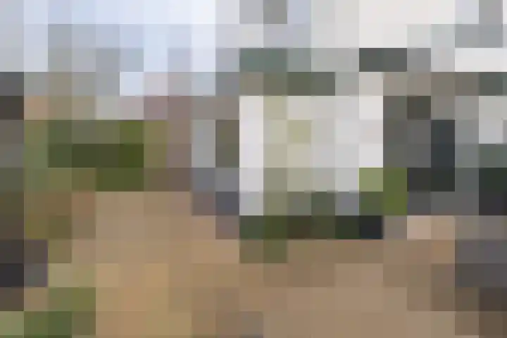 van Vrijberghestraat 2 Driebergen-Rijsenburg thumbnail 37