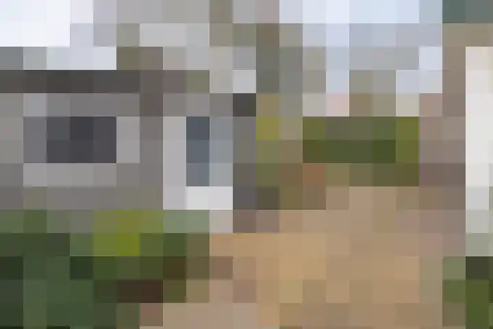 van Vrijberghestraat 2 Driebergen-Rijsenburg thumbnail 38