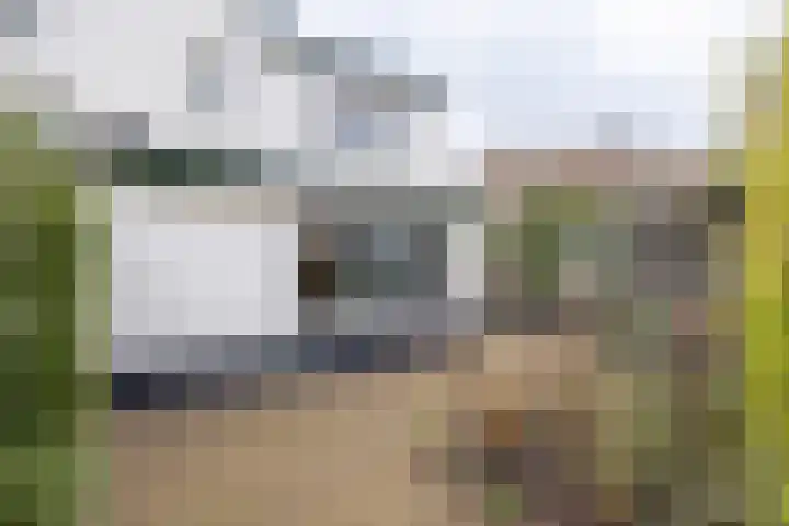 van Vrijberghestraat 2 Driebergen-Rijsenburg thumbnail 41