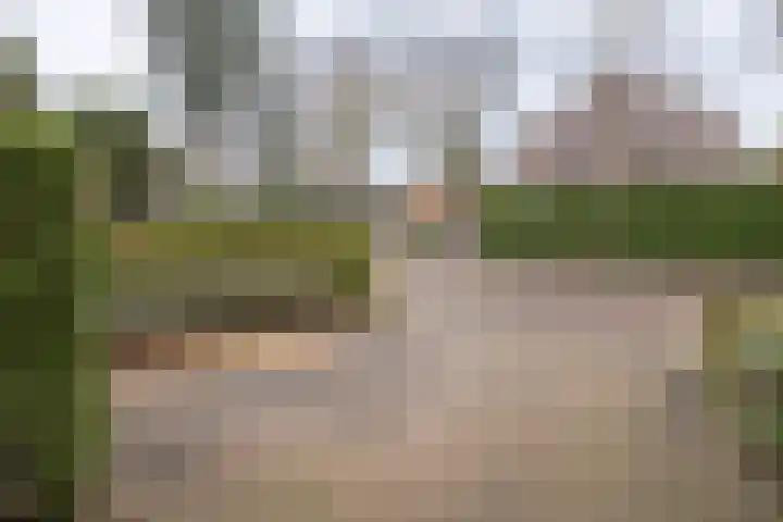 van Vrijberghestraat 2 Driebergen-Rijsenburg thumbnail 42