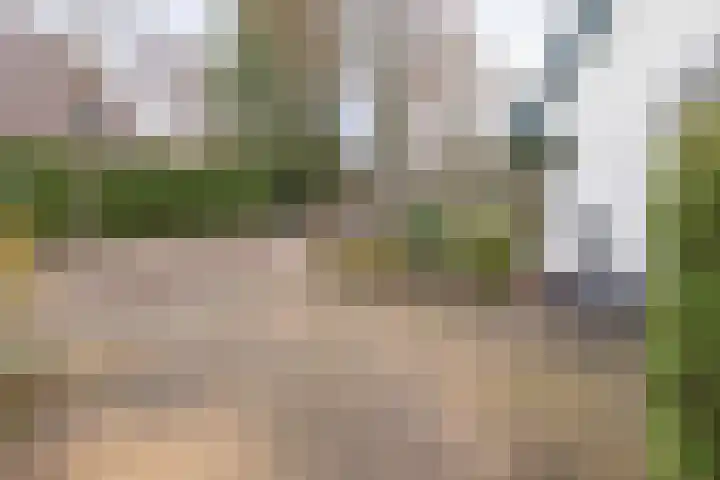 van Vrijberghestraat 2 Driebergen-Rijsenburg thumbnail 43
