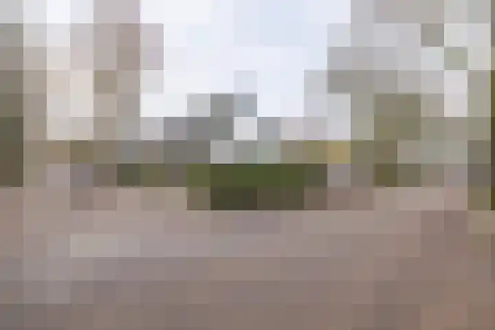 van Vrijberghestraat 2 Driebergen-Rijsenburg thumbnail 46