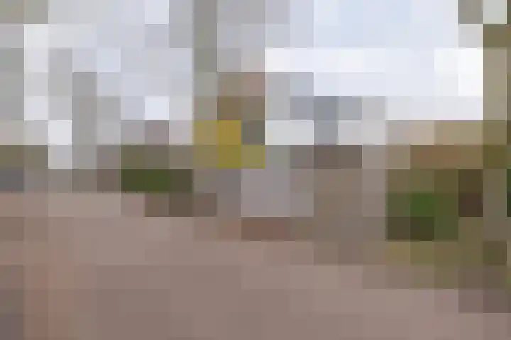 van Vrijberghestraat 2 Driebergen-Rijsenburg thumbnail 47